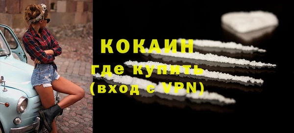 крисы Пересвет