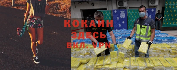 не бодяженный Алексин