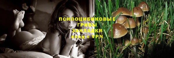 бошки Алексеевка
